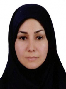 حمیده گل زاده برج قلعه